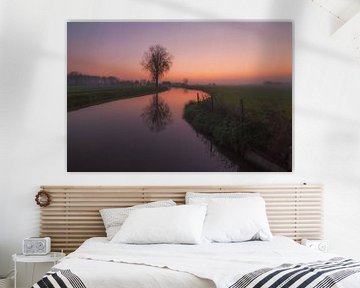 Boomreflectie in sloot van Moetwil en van Dijk - Fotografie