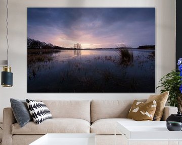 Dreigende wolken boven het water terwijl de bomen oplichten in de zon van KB Design & Photography (Karen Brouwer)