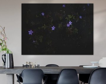 Purple Flowers