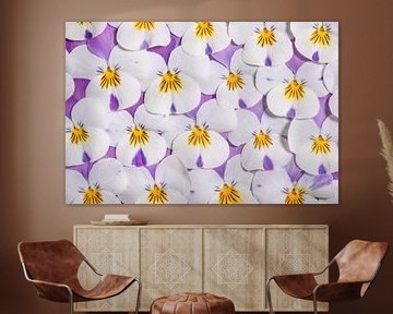 Lente! Muurbloempjes: wit met paarse viooltjes van Marjolijn van den Berg