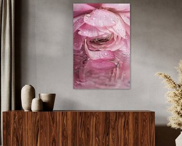 De zacht roze ranonkel met het verloren blaadje met druppeltjes" van Marjolijn van den Berg