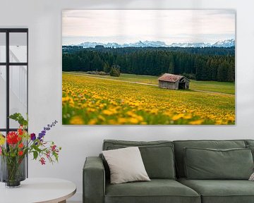 Spring view of the Zugspitze & Allgäu with dandelion by Leo Schindzielorz