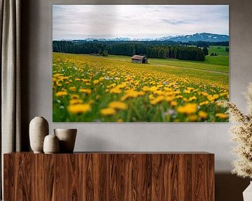 Spring view of the Zugspitze & Ostallgäu with dandelion by Leo Schindzielorz