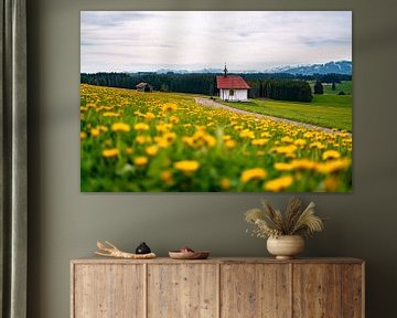 Vue printanière sur la Zugspitze & l'Ostallgäu avec Löwenzahn sur Leo Schindzielorz