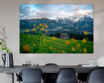 Malerischer Ausblick auf das frühlingshafte Allgäu und seine Berge von Leo Schindzielorz