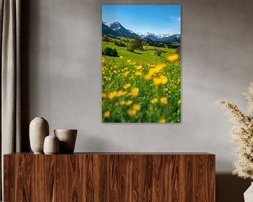 Frühlingshafter Blick mit Butterblumen auf die Allgäuer Alpen von Leo Schindzielorz