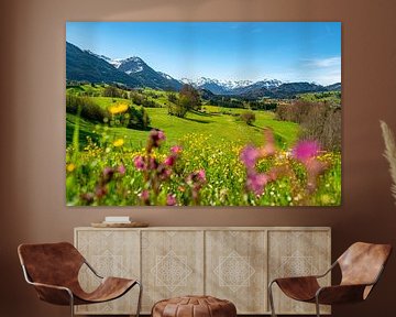 Vue printanière sur la prairie fleurie et les Alpes d'Allgäu sur Leo Schindzielorz