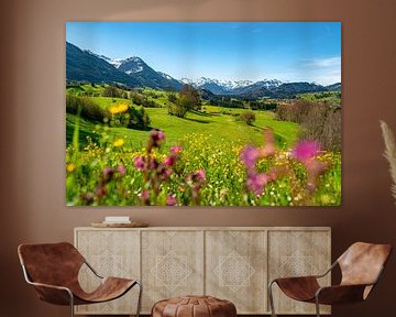 Frühlingshafter Blick über die Blumenwiese auf die Allgäuer Alpen von Leo Schindzielorz