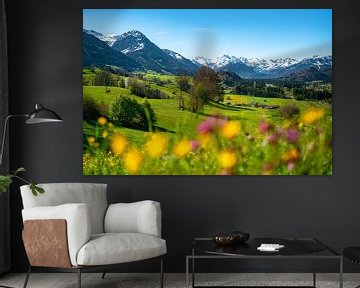 Frühlingshafter Blick über die Blumenwiese auf die Allgäuer Alpen von Leo Schindzielorz