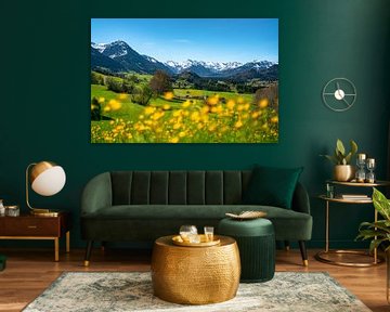 Spring view over the flower meadow to the Allgäu Alps