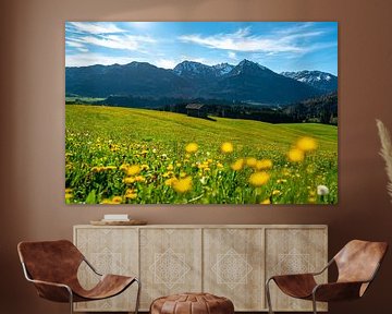 Blumenwiese über den Oberallgäuer Alpen von Leo Schindzielorz