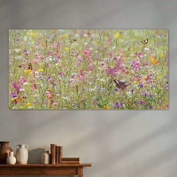 Blumenwiese mit Schmetterlingen