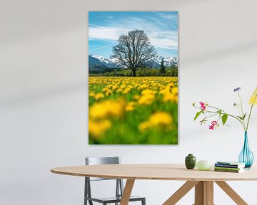 Allgäuer Löwenzahn mit Baum vor den Allgäuer Alpen von Leo Schindzielorz