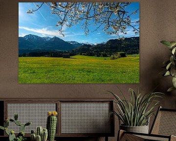 Frühling im Allgäuer Tal mit Baumblüten von Leo Schindzielorz