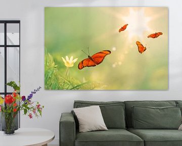 Die vier orangefarbenen Schmetterlinge von Martin Bergsma