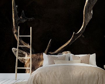 Deer portrait with dark background and large antlers as a painting by Steven Dijkshoorn