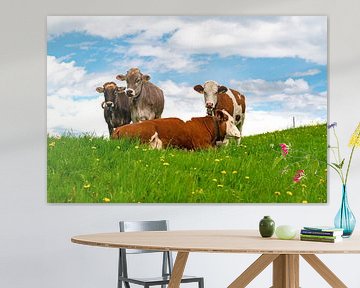 Allgäu koeien in een paardenbloem weide van Leo Schindzielorz