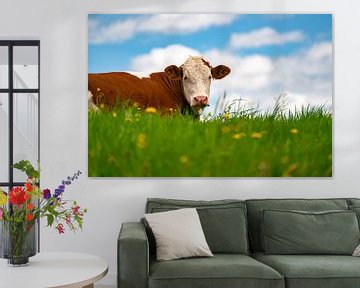 Allgäuer Kuh auf Blumenwiese von Leo Schindzielorz
