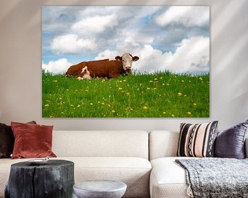 Allgäuer Kuh auf Blumenwiese von Leo Schindzielorz