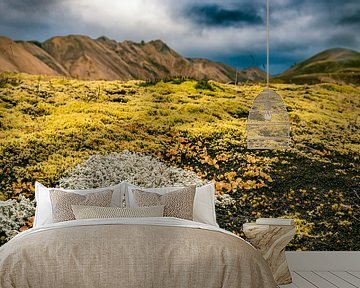 Landmannalaugar kleurrijke bergen in IJsland van Sjoerd van der Wal Fotografie