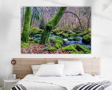 Green nature in a forest with a stream by Animaflora PicsStock