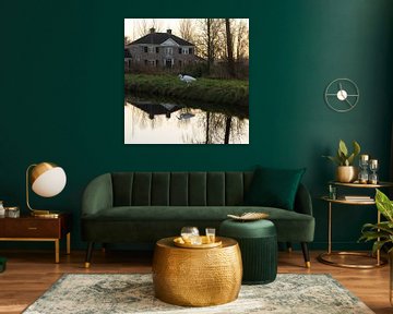 Great egret with reflection in front of large house by Jochem van der Meer