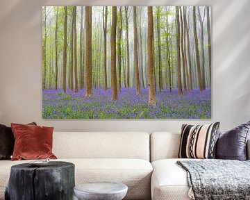 Forêt de Bluebell au printemps sur Sjoerd van der Wal Photographie