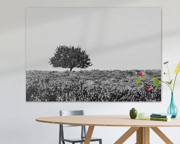 Minimalistische zwart-wit foto van een boom op de heide van Crystal Clear