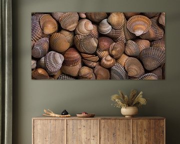 Panorama of shells in all shades of brown by Marjolijn van den Berg