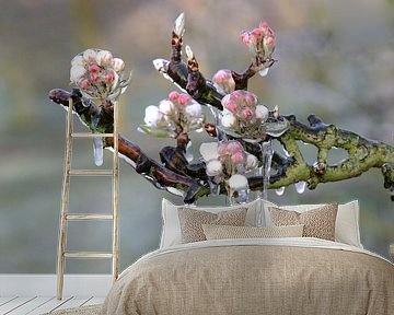 Frozen apple blossom I by Marinus de Keijzer