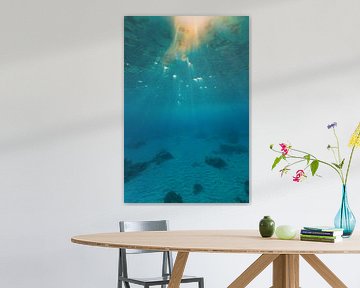 Onderwater Bonaire (kleur) von Andy Troy