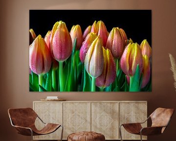 Tulips and drops by Cliff d'Hamecourt