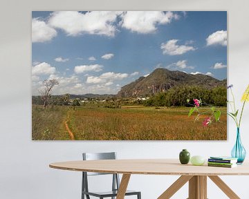 Paysage cubain à Vinales sur Margot van den Berg