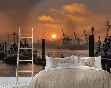 Pier voor sleepboten in de haven van Hamburg van Jonas Weinitschke