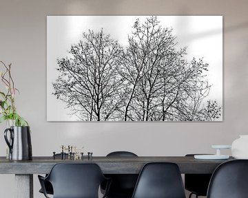 Silhouet van jonge berkenbomen van Frank Heinz