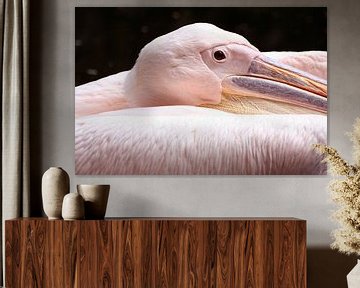 Pink Pelican by Marian Bouthoorn