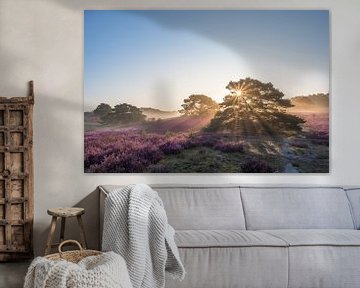 Sonnenaufgang auf der schönen violett blühenden Heidelandschaft von John van de Gazelle