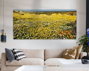 Gele bloemenzee in Zuid-Afrika van Corinne Welp