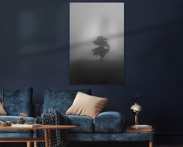 Arbre solitaire dans le brouillard sur RM Photographics