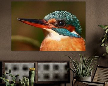 Kingfisher portrait by Anne Ponsen