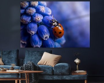 Blauw druifje krijgt bezoek van een Lieveheersbeestje van Marjolijn van den Berg