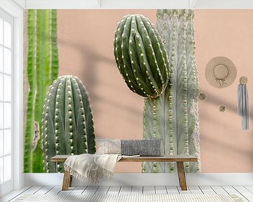 Cactus for pink wall by Wianda Bongen