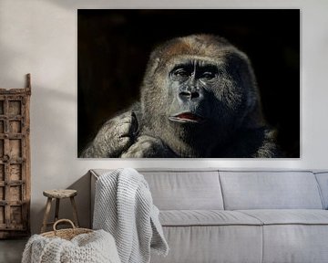 Portret van een Gorilla