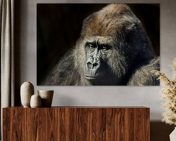 Portret van een Gorilla van Gert Hilbink