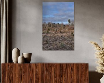 Zweeds landschap van Geertjan Plooijer