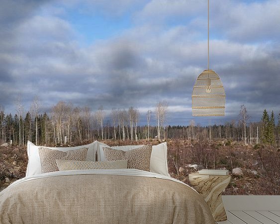 Aperçu de la chambre