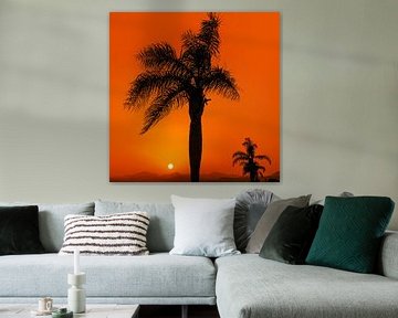 Sunset and a palm tree by Harrie Muis