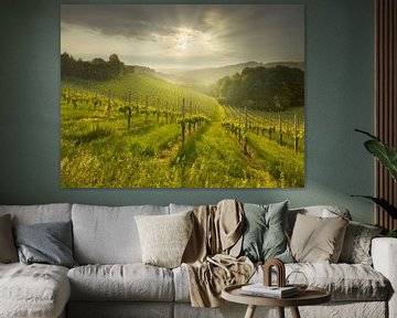 Südsteirische Weinstrasse von Rainer Mirau