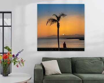 Sonnenuntergang auf Lanzarote unter einer Palme von Harrie Muis