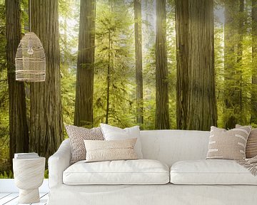 Redwoods van Rainer Mirau